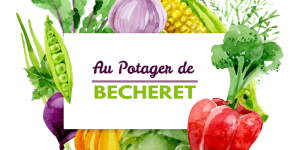 au-potager-de-becheret ©