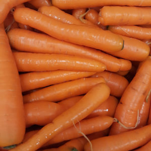 carotte maraïchere au-potager-de-becheret©