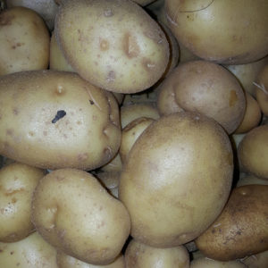 Pomme de terre Anaïs