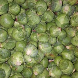 choux de bruxelles au-potager-de-becheret