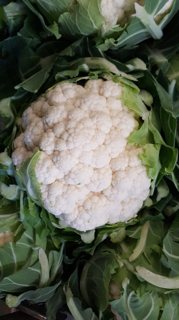 choux fleur au-potager-de-becheret