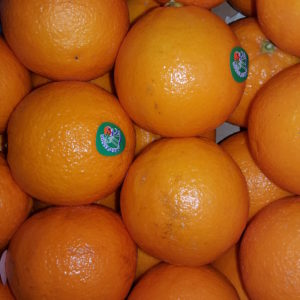 maltaise au-potager-de-becheret