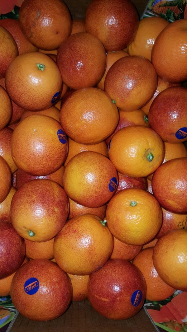 orange sanguine au-potager-de-becheret