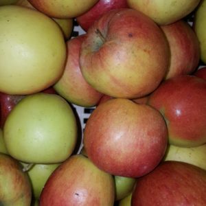 pomme braeburn au-potager-de-becheret