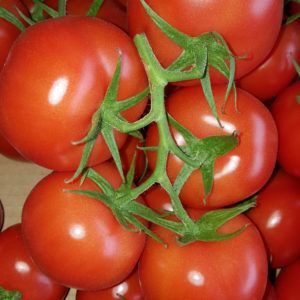 tomate grappe au-potager-de-becheret