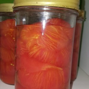 tomate sterilisées au-potager-de-becheret