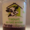 framboise au-potager-de-becheret©