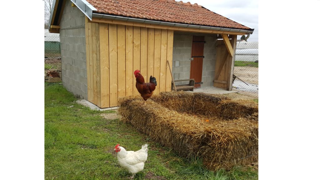 coq au-potager-de-becheret©