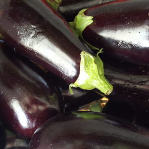aubergine aube au-potager-de-becheret©