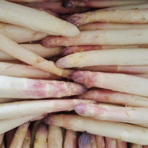 asperge violette au-potager-de-becheret©