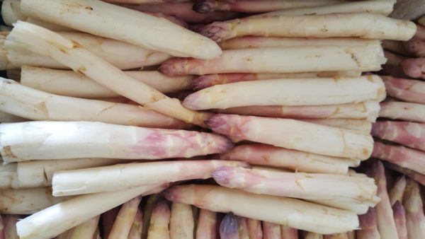 asperge violette au-potager-de-becheret©
