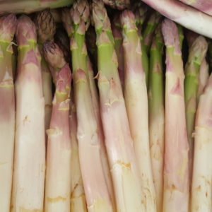 asperges pointe verte au-potager-de-becheret©