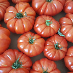 marmande au-potager-de-becheret©
