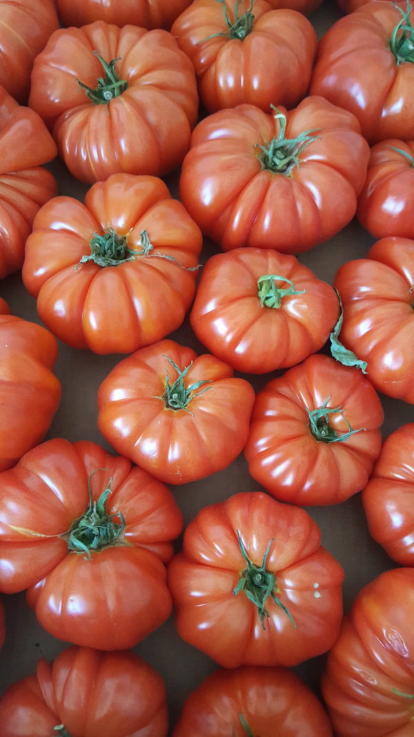 marmande au-potager-de-becheret©