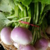 navets botte au-potager-de-becheret©