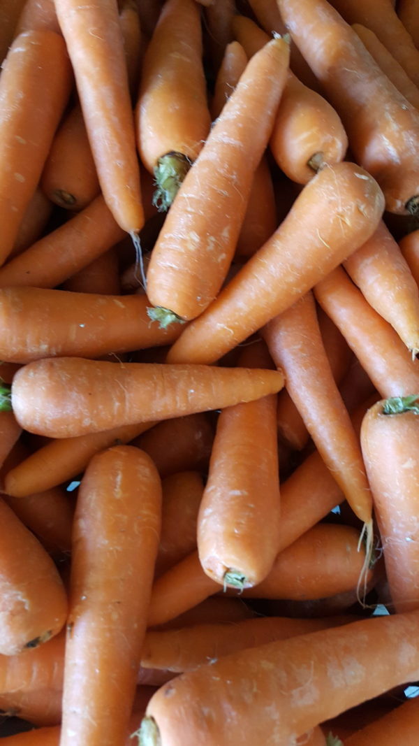 carotte france au-potager-de-becheret©