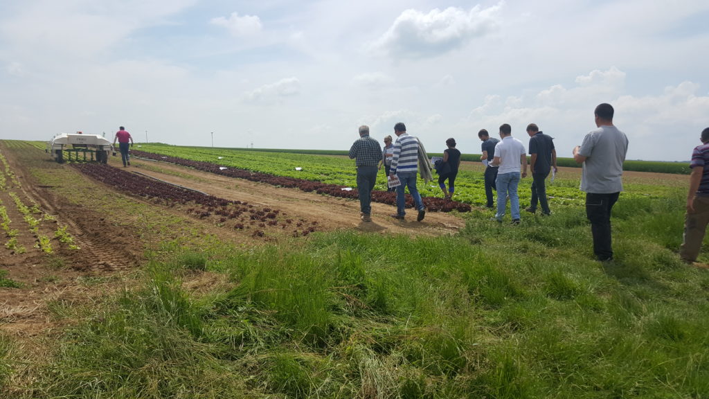 viste planete légumes au-potager-de-becheret©