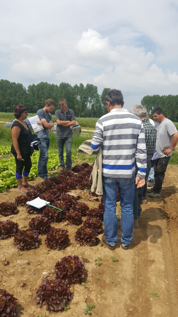 viste planete légumes au-potager-de-becheret©