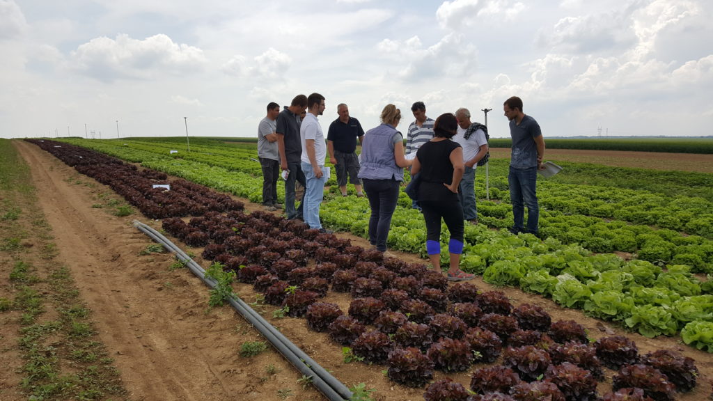 visite planete légumes au-potager-de-becheret©