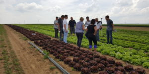 visite planete légumes au-potager-de-becheret©