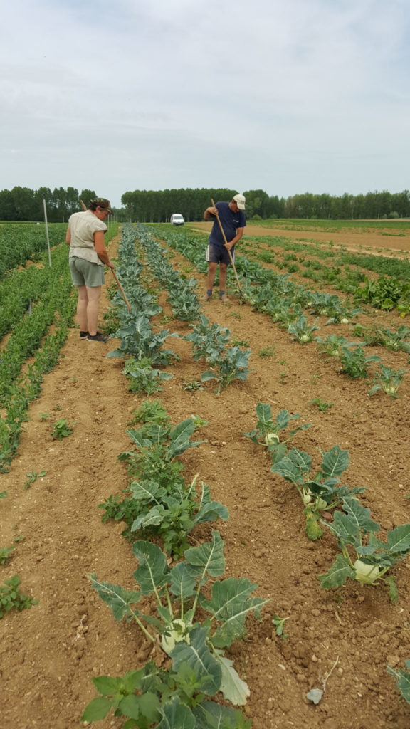 binette au-poatger-de-becheret©