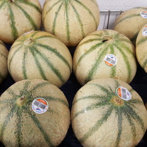 melon rouge gorge au-potager-de-becheret©