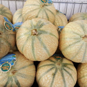 melon boule de miel au-potager-de-becheret©