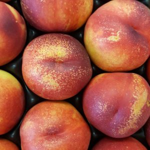 nectarine jaune au-potager-de-becheret©