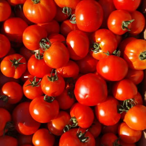 tomates rondes au-potager-de-becheret©
