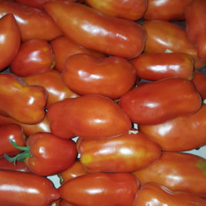 cornue des andes au-potager-de-becheret©