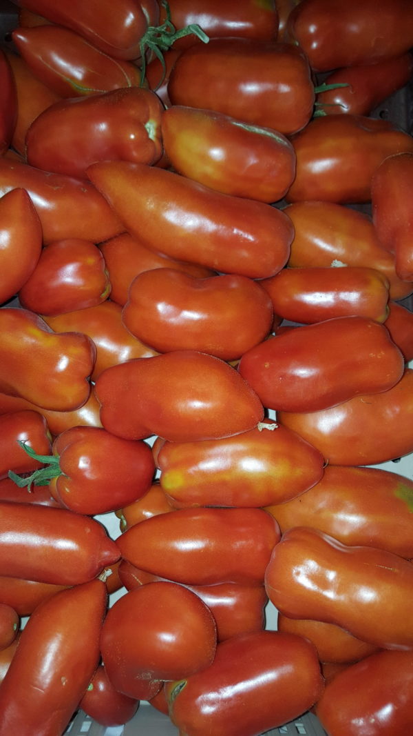 cornue des andes au-potager-de-becheret©