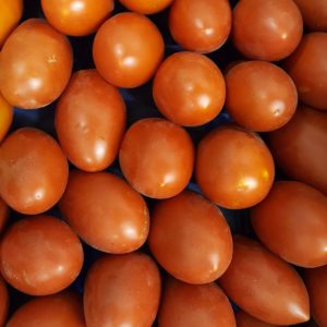 tomate sir elyan au-potager-de-becheret©