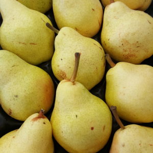 poire william au-potager-de-becheret©