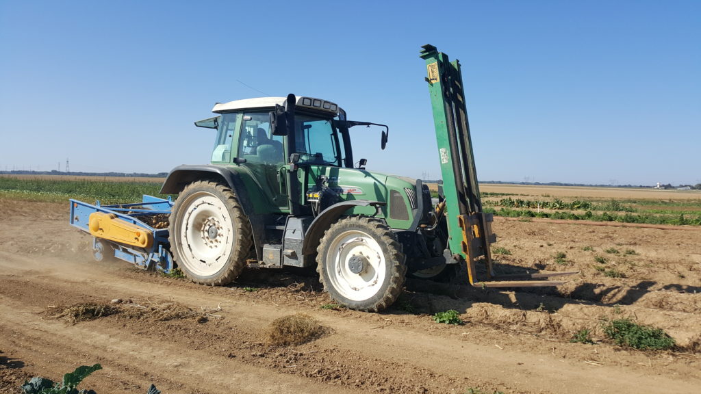 champs 2018 au-potager-de-becheret©