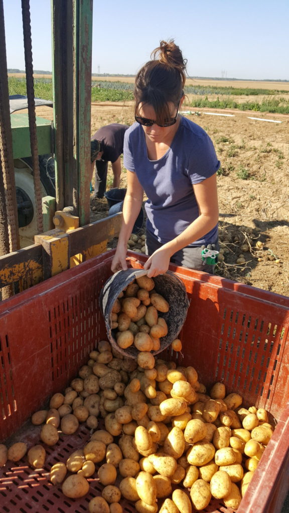 champs 2018 au-potager-de-becheret©