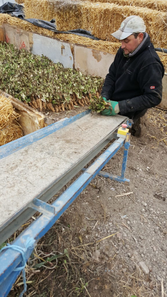 plantation 2018 au-potager-de-becheret©