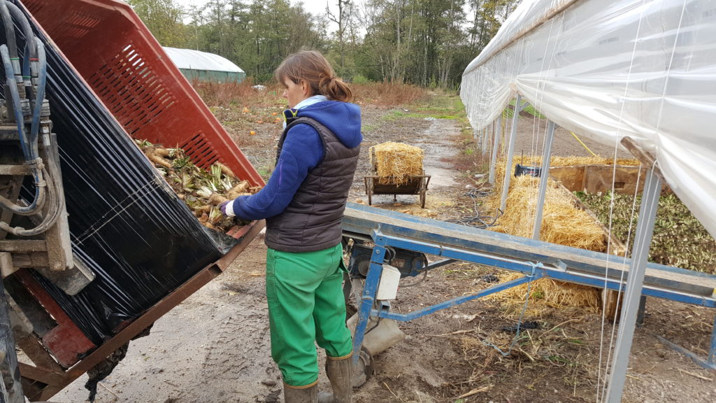 plantation 2018 au-potager-de-becheret©