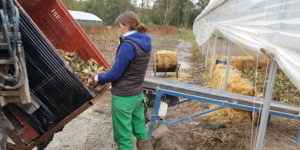 plantation 2018 au-potager-de-becheret©