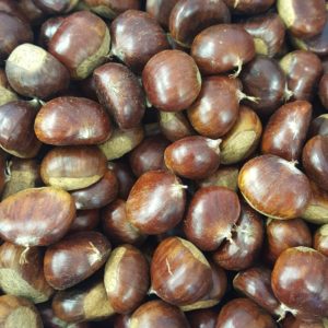 chataîgne 2018 au-potager-de-becheret.com©