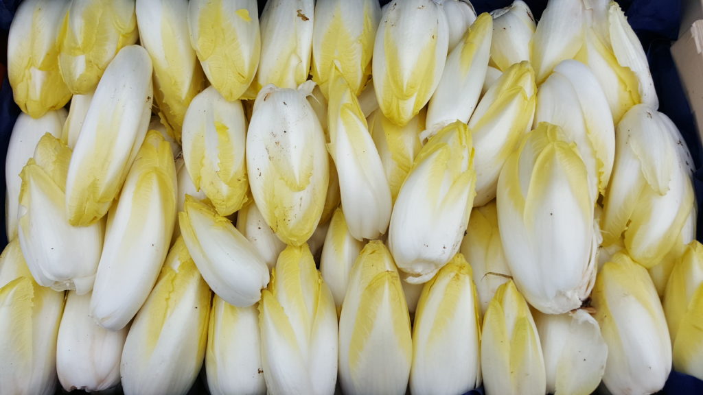 endives de terre 2018 au-potager-de-becheret©