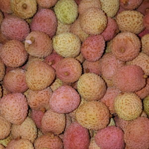 litchi au-potager-de-becheret©