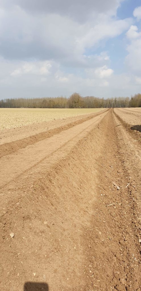 buttage asperge 2019 au-potager-de-becheret.com©