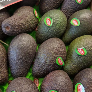 avocat gros calibre au-poategr-de-becheret.com©