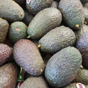 avocat moyen au-potager-de-becheret.com©