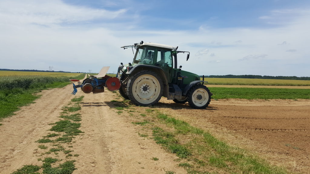 plantation poireaux 2019 au-potager-de-becheret.com©