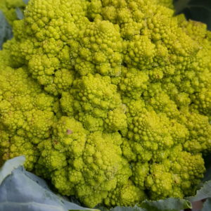 Chou Romanesco