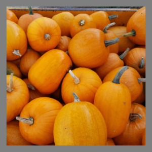 courge halloween