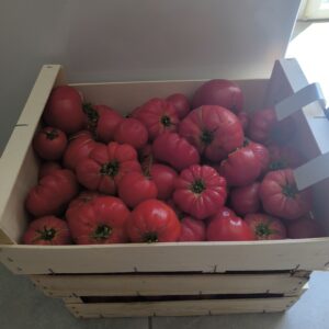 colis pour sauce tomate 5kg