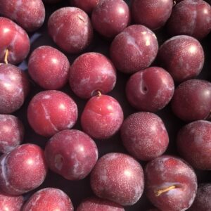 Prune rouge (500gr)