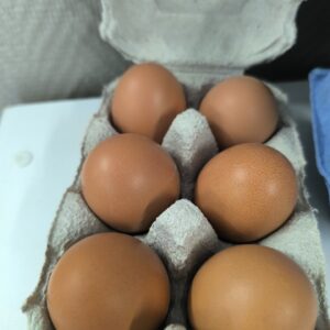 Oeufs fermiers x6